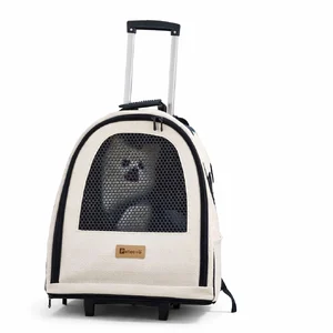 کوله پشتی و ترولی پتیوو