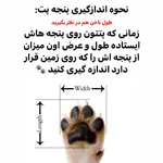 کفش بنددار طرح جین