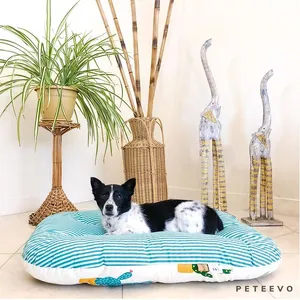 تشک plush کاکتوس پتیوو